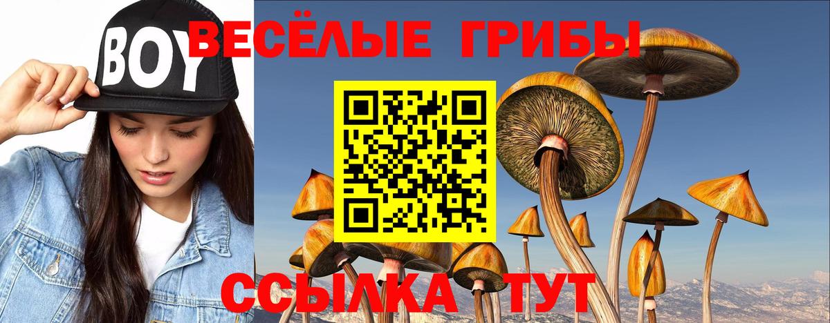 Абинск  Псилоцибиновые грибы MAGIC MUSHROOMS  Галлюциногенные грибы GOLDEN TEACHER  Вход с VPN 
