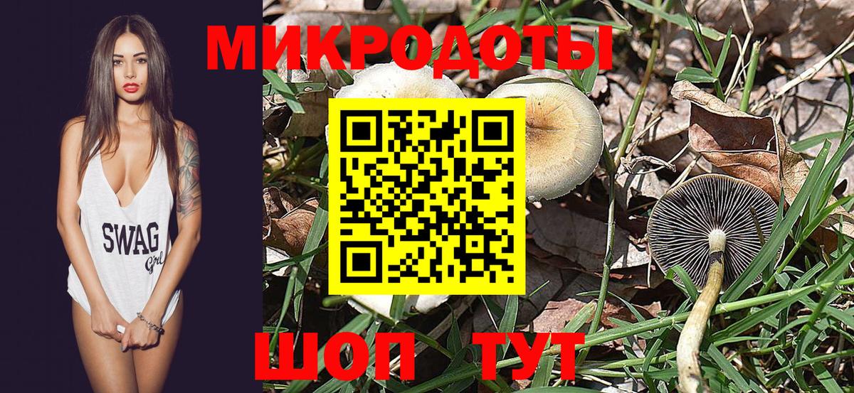 Псилоцибиновые грибы Psilocybine cubensis Абинск