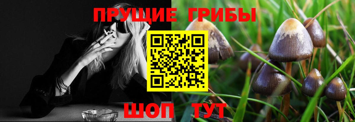 Абинск  Канабис  Вход с VPN  Кетамин  Мефедрон кристаллы  Гашиш  КОКАИН 